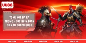 Tổng hợp đá gà Thomo